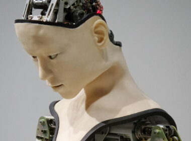 Robot, kyborg, umělá inteligence