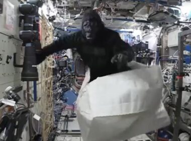 NASA, gorilí oblek