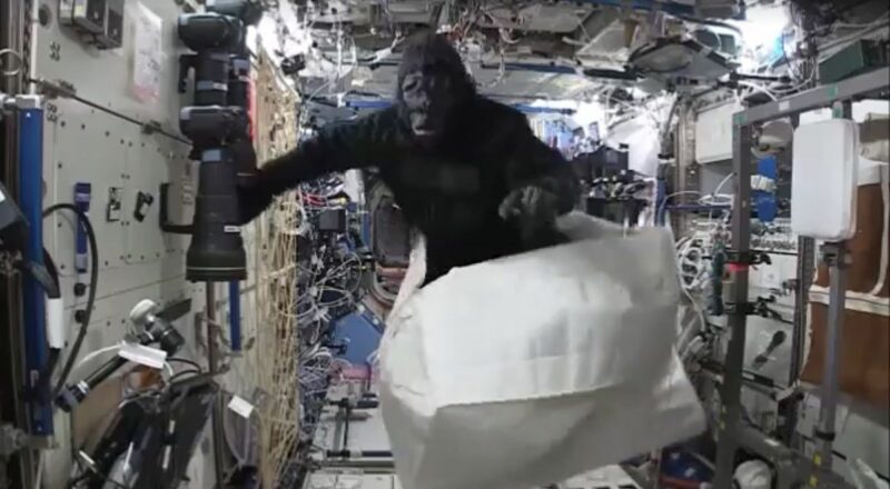 NASA, gorilí oblek