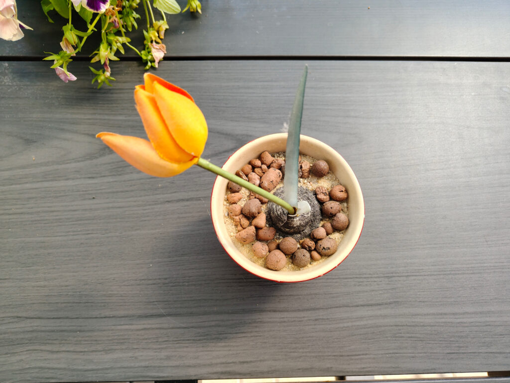 Realme 14 Pro+